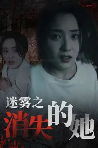 《迷雾之消失的她》封面