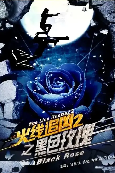 《火线追凶2之黑色玫瑰》封面
