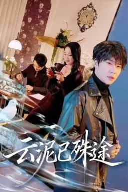 《云泥已殊途》封面