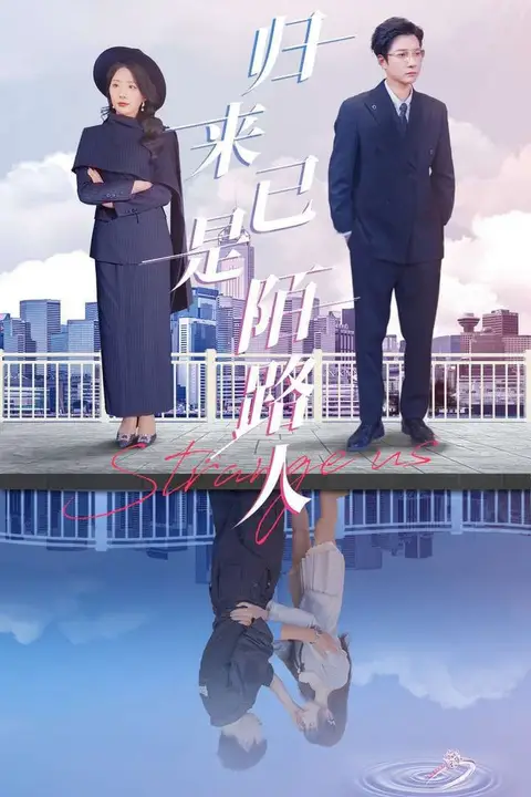 《归来已是陌路人》封面