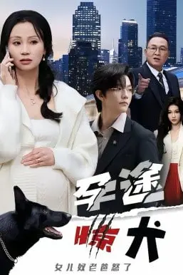 《孕途惊犬,女儿奴老爸怒了》封面