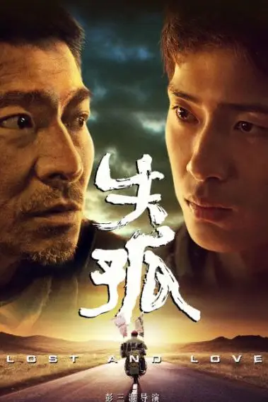 《失孤》封面