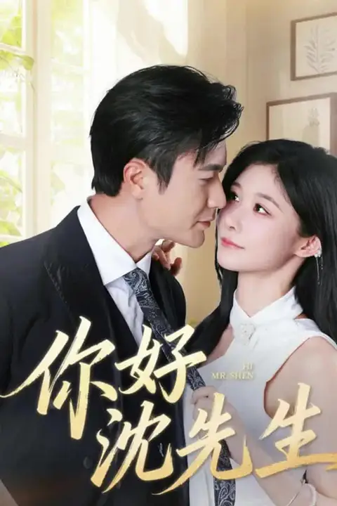 《你好沈先生》封面