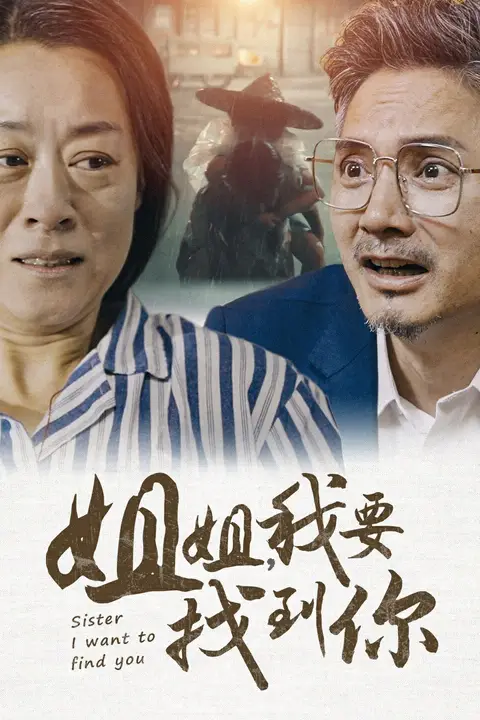 《姐姐我要找到你》封面