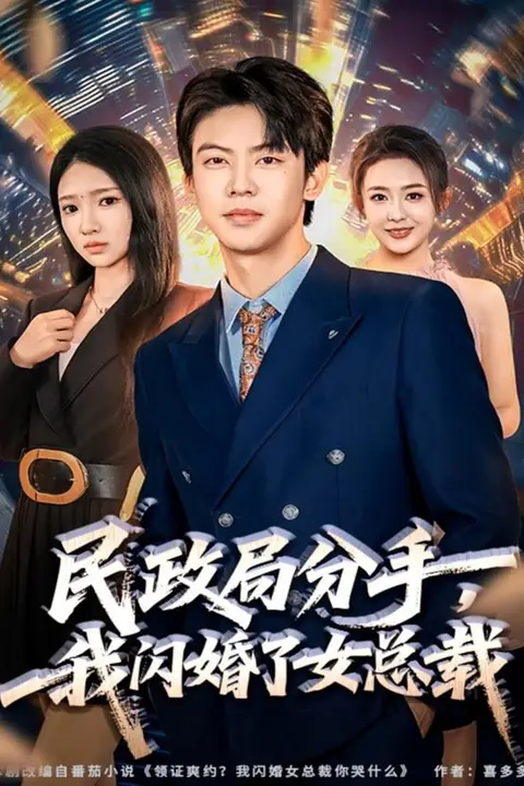 《民政局分手,我闪婚了女总裁》封面