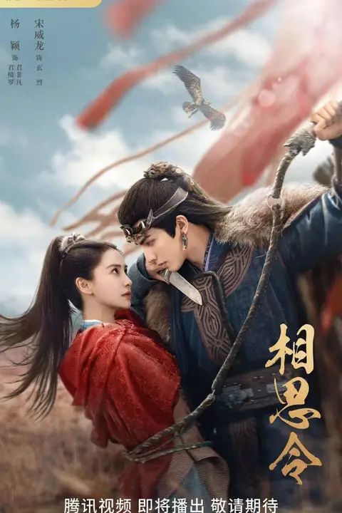 《相思令 2025》封面