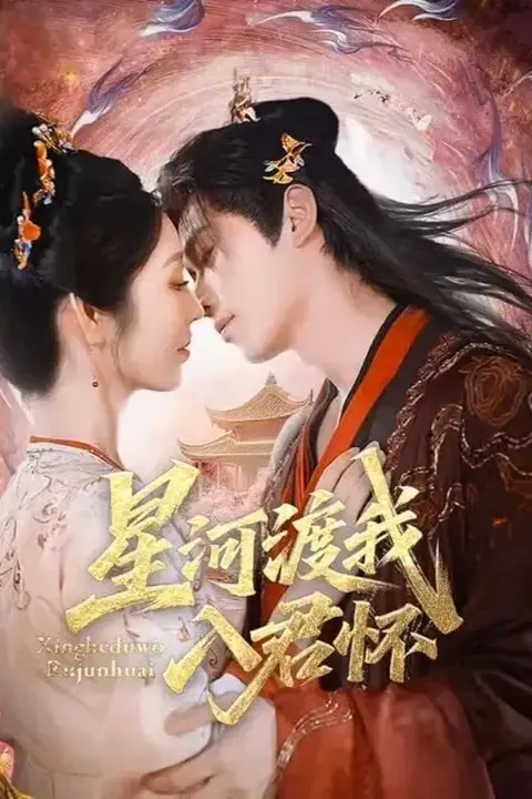 《星河渡我入君怀》封面