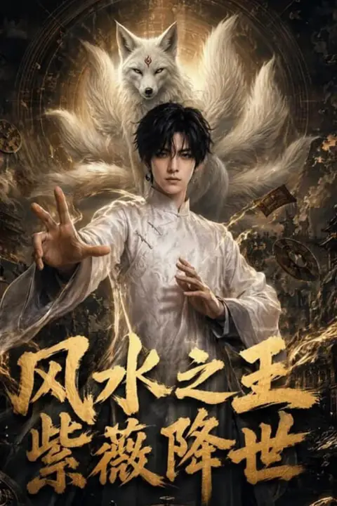 《风水之王，紫薇降世》封面