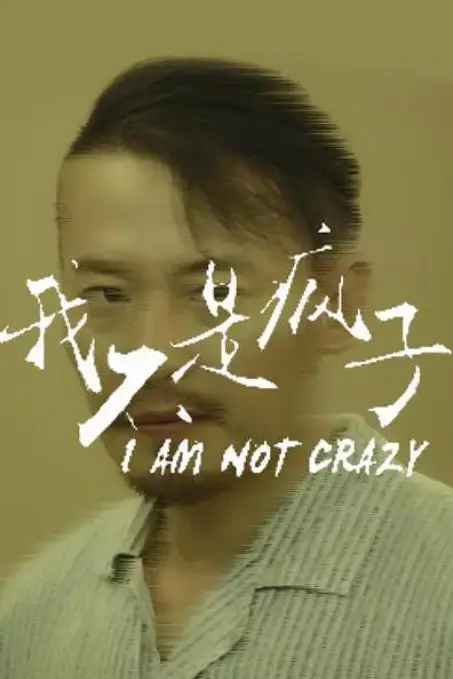 《我不是疯子》封面