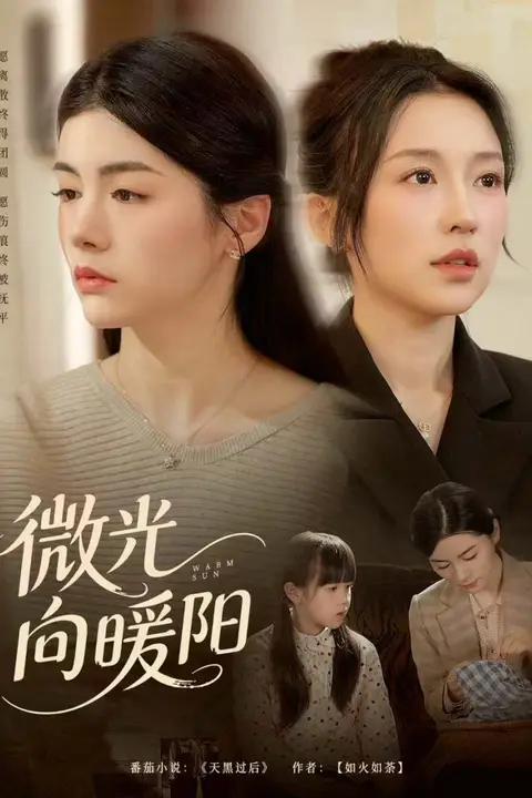 《微光向暖阳》封面