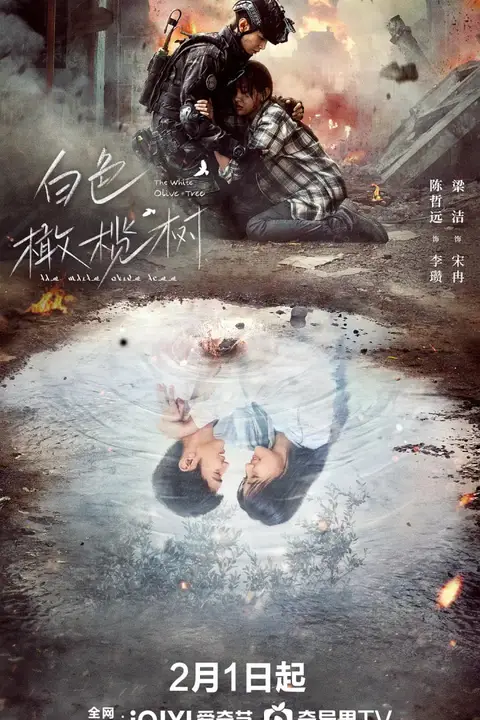 《白色橄榄树》封面