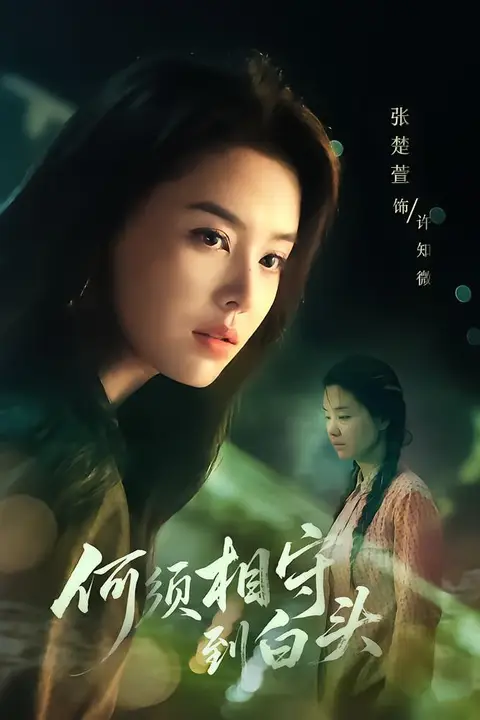 《何须相守到白头》封面