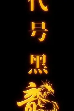 《代号黑龙》封面