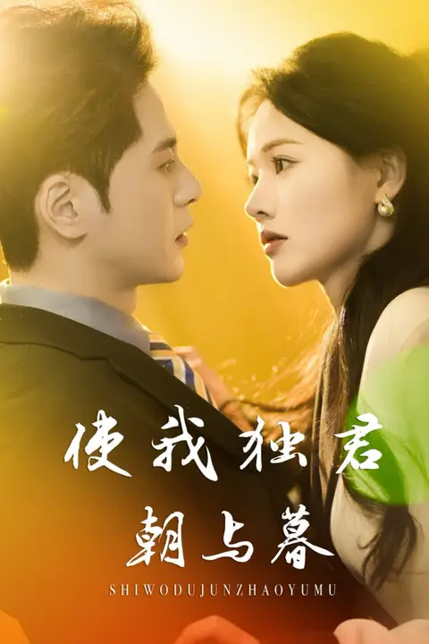 《使我独君朝与暮》封面