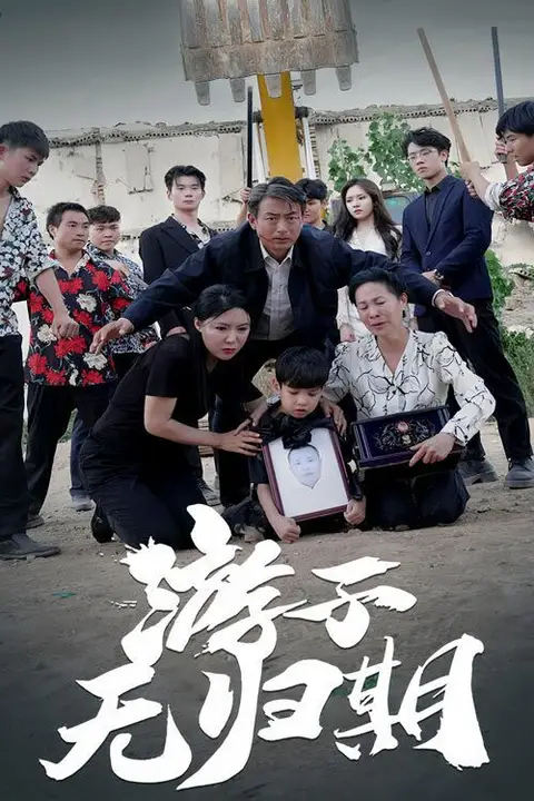 《游子无归期》封面