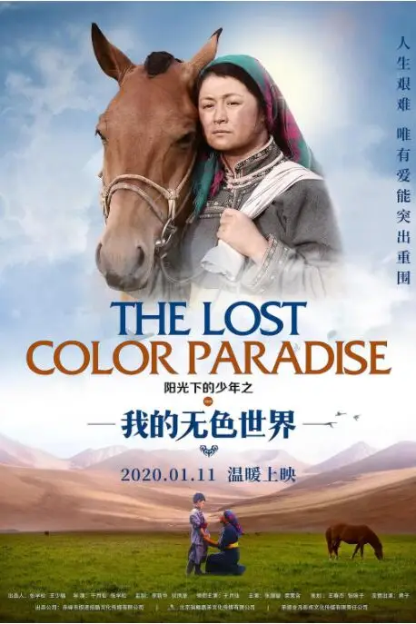 《阳光下的少年之我的无色世界》封面