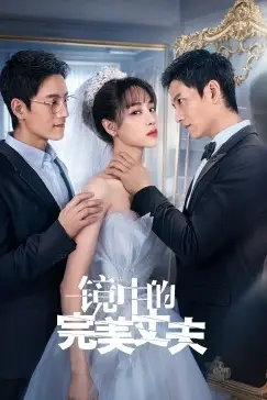 《镜中的完美丈夫》封面