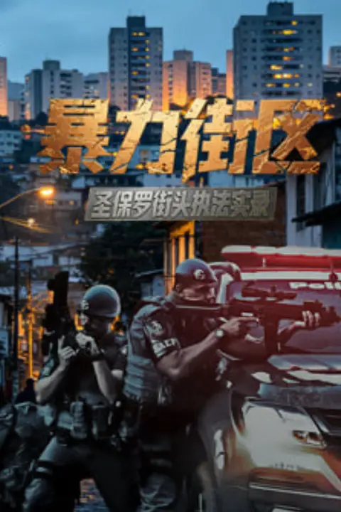 《暴力街区：圣保罗街头执法实录》封面