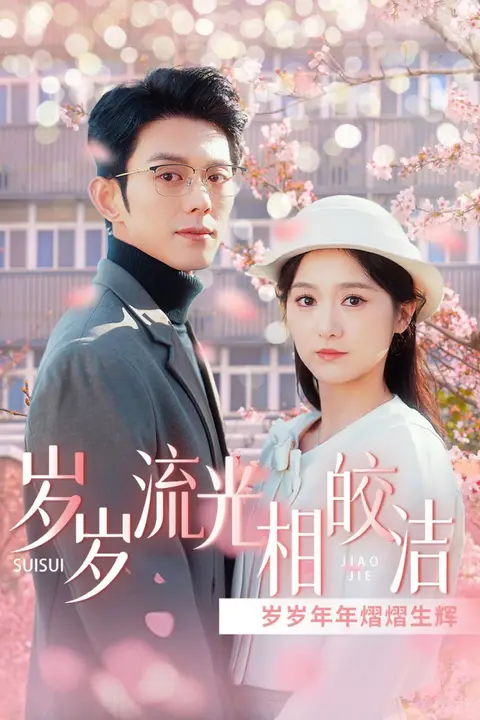 《岁岁流光相皎洁》封面