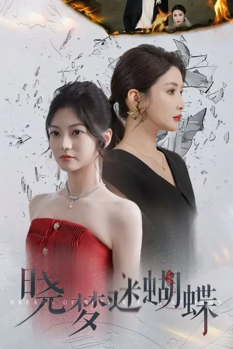 《晓梦迷蝴蝶》封面