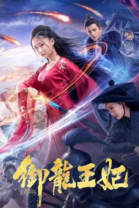 《御龙王妃》封面