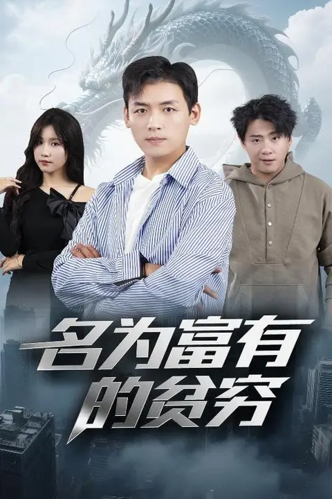 《名为富有的贫穷》封面