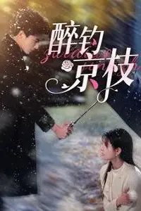 《醉钓京枝》封面