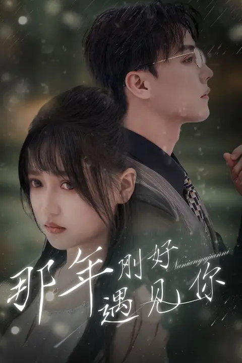 《那年刚好遇见你（那年遇见你）》封面