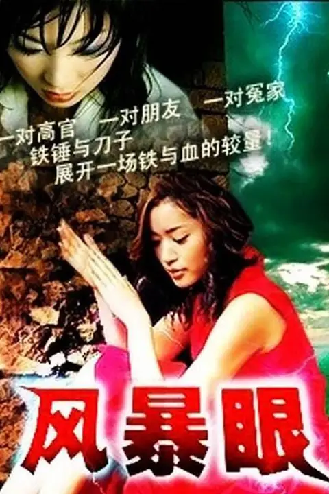 《风暴眼》封面