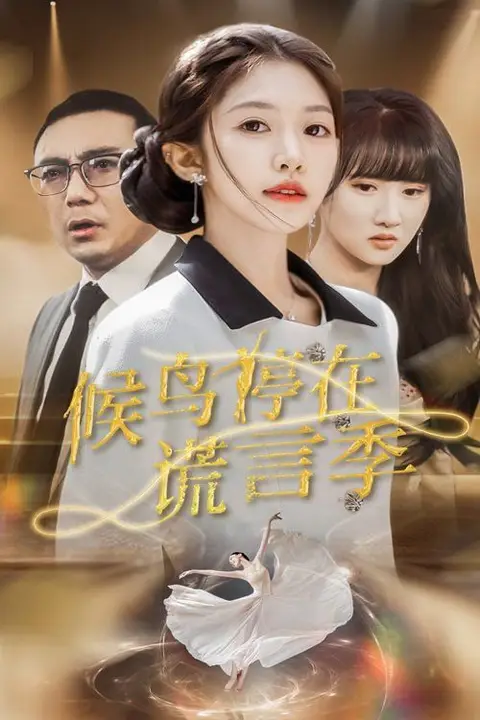 《候鸟停在谎言季》封面