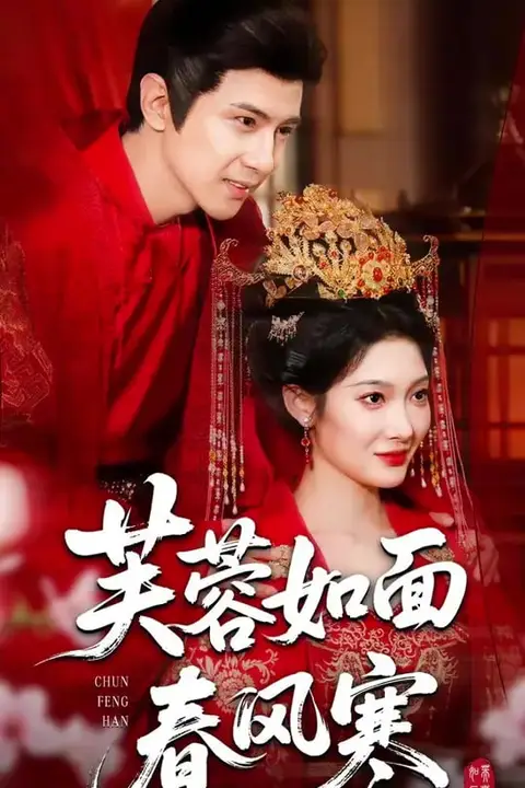 《芙蓉如面春风寒》封面
