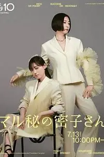 《绝密的密子小姐》封面