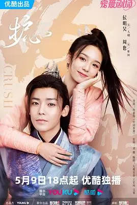 《护心》封面