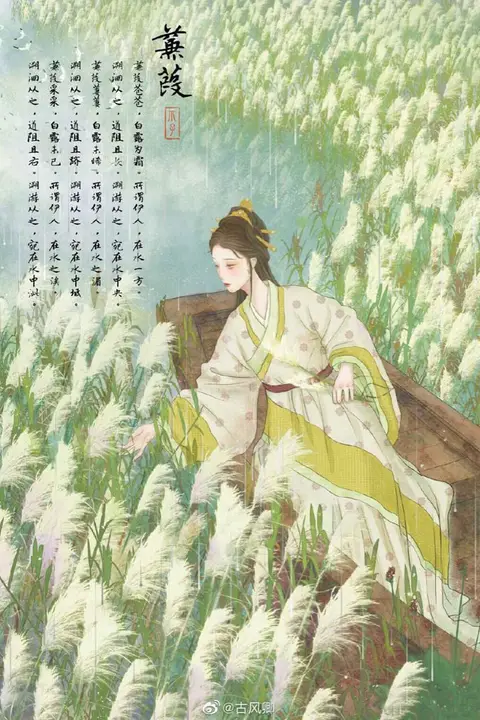 《蒹葭》封面