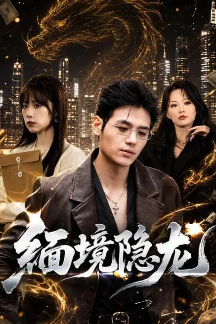 《缅境隐龙》封面