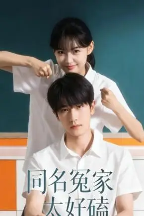 《同名冤家太好磕》封面