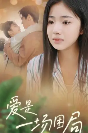 《爱是一场困局》封面