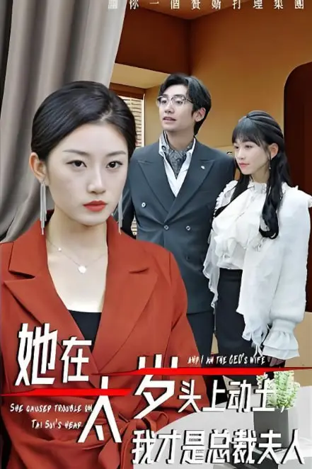《她在太岁头上动土，我才是总裁夫人》封面