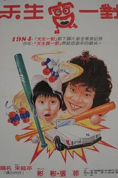 《天生宝一对》封面