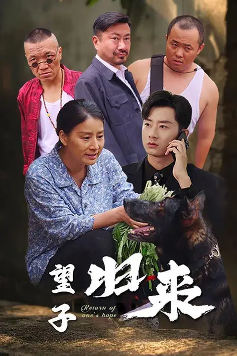 《望子归来》封面