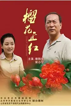 《榴花正红》封面