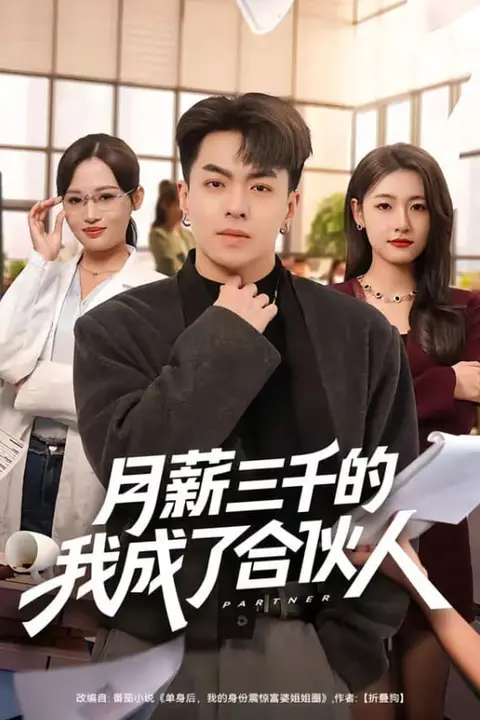 《月薪三千的我成了合伙人》封面