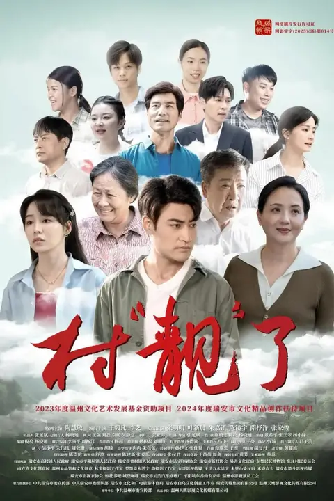 《村“靓”了》封面