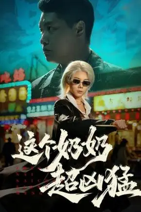 《这个奶奶超凶猛》封面