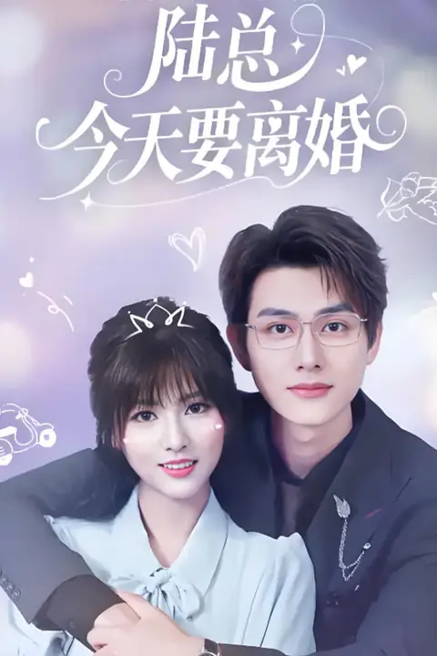 《陆总今天要离婚》封面