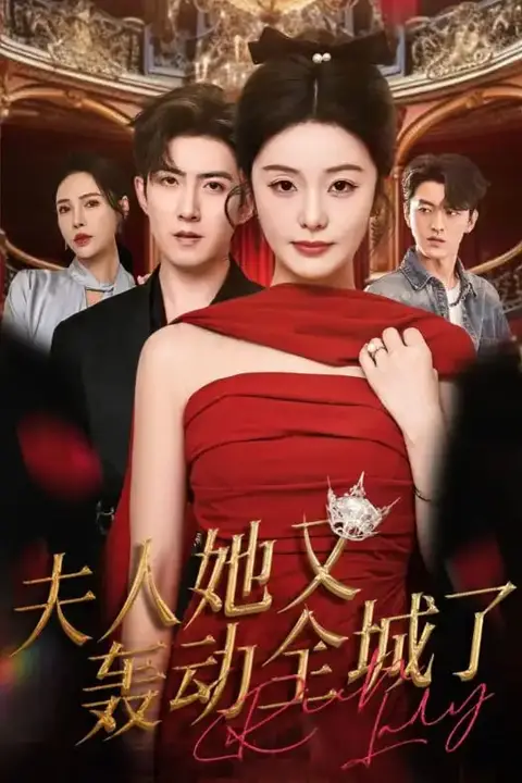 《夫人她又轰动全城了》封面