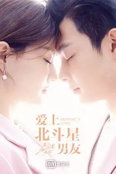 《爱上北斗星男友》封面