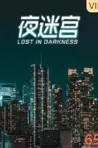 《夜迷宫》封面