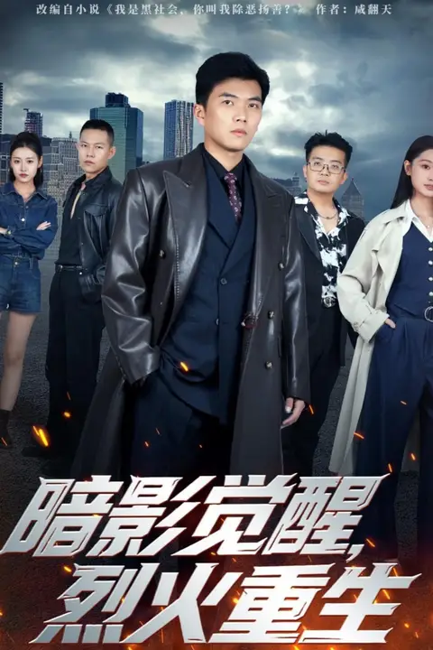 《暗影觉醒,烈火重生》封面