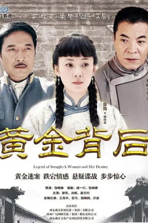 《黄金背后 (2013)》封面